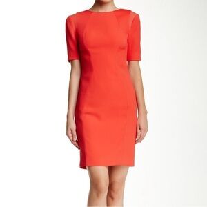 NWOT TED BAKER London 'ABRIAL' Mesh Panel Body cone DRESS Ted size 4= US size 10